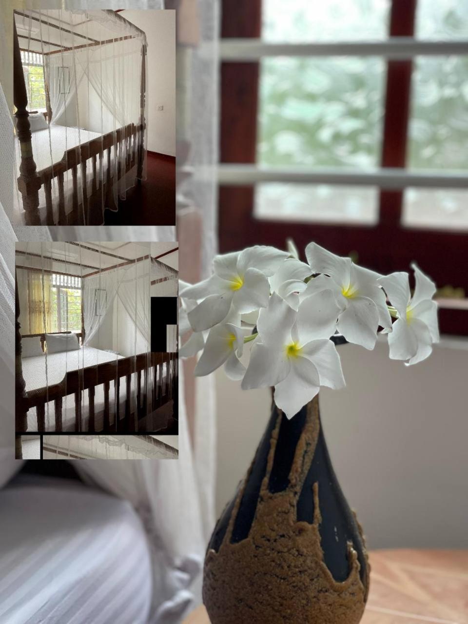 Wasana Ocean View Villa ミリッサ エクステリア 写真